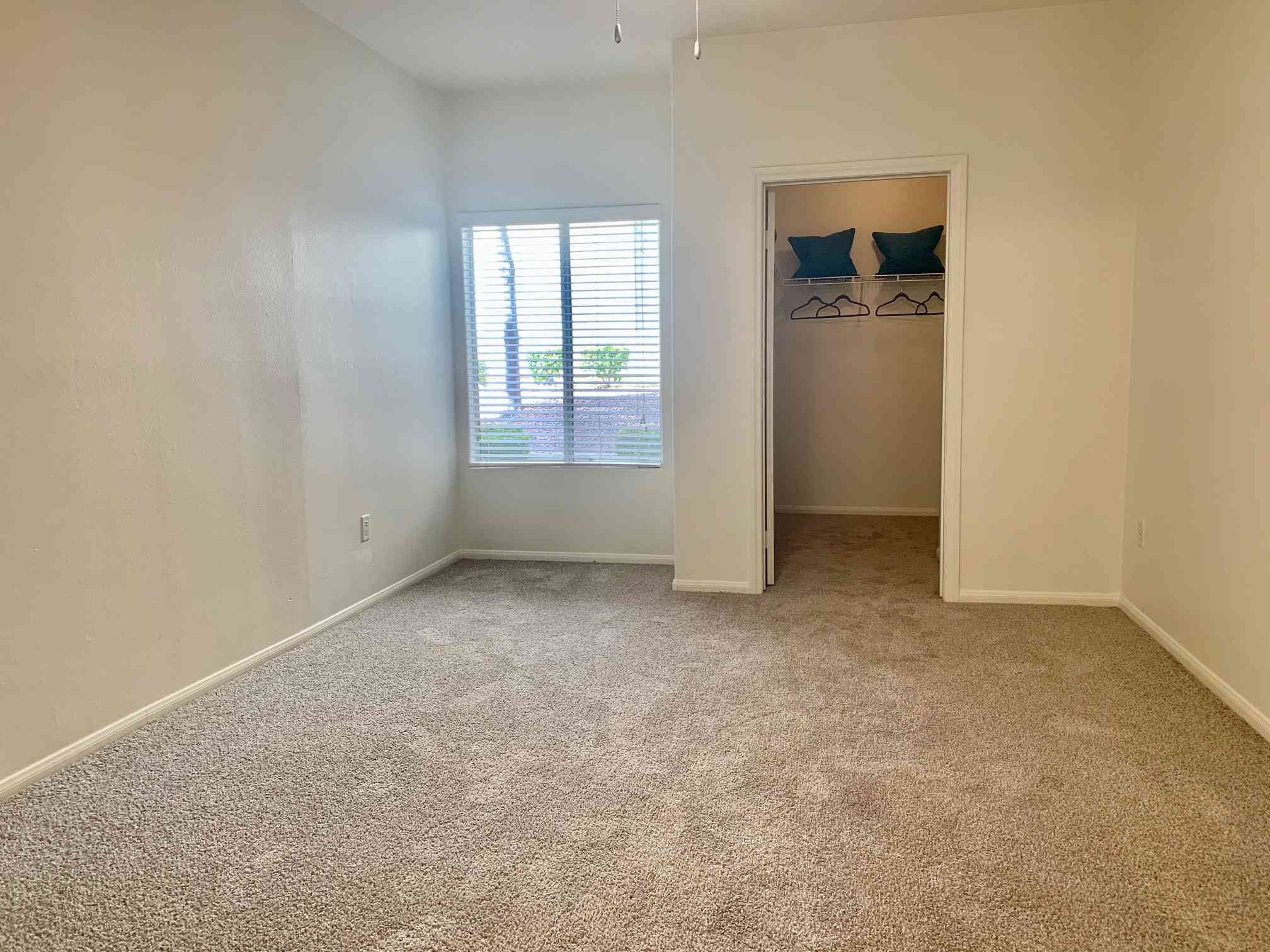 carpeted bedroom with window and closet
